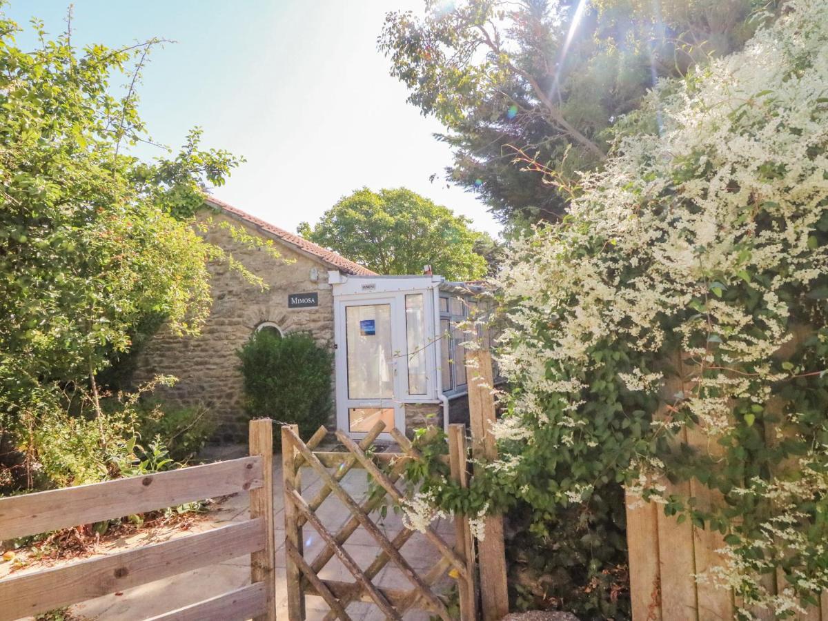 Mimosa Cottage, West Bexington Swyre Esterno foto